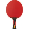 Ракетка для н/т DOUBLE FISH 7A+C, для професс.,ITTF Appr.,накл.2,1мм,+ 2 мяча V40+мм ITTF Appr за 3&nbsp;559.80 ₽ купить в Ставрополе