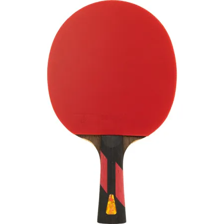 Ракетка для н/т DOUBLE FISH 7A+C, для професс.,ITTF Appr.,накл.2,1мм,+ 2 мяча V40+мм ITTF Appr за 3&nbsp;559.80 ₽ купить в Ставрополе