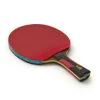 Ракетка для н/т DOUBLE FISH 7A+C, для професс.,ITTF Appr.,накл.2,1мм,+ 2 мяча V40+мм ITTF Appr за 3&nbsp;559.80 ₽ купить в Ставрополе