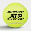 Мяч теннисный Dunlop ATP Championship 4B, 601627, уп.4ш, одобр. ITF, нат.резина,фетр. за 1&nbsp;242.70 ₽ купить в Ставрополе