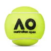 Мяч теннисный Dunlop Australian Open, 601601, уп..3 шт, одобр.ITF,фетр,нат.резина, желтый за 1&nbsp;171.30 ₽ купить в Ставрополе