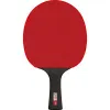 Ракетка для н/т DOUBLE FISH Black Carbon King Racket 5*****, для професс.,ITTF Appr.,накл.2,1,мм за 6&nbsp;434.50 ₽ купить в Ставрополе