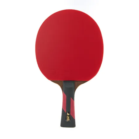 Ракетка для н/т DOUBLE FISH 7A+C, для професс.,ITTF Appr.,накл.2,1мм,+ 2 мяча V40+мм ITTF Appr за 3&nbsp;559.80 ₽ купить в Ставрополе
