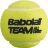 Мяч теннисный BABOLAT Team All Court,502081, уп.4 шт,одобр.ITF, сукно, нат.резина,желтый за 2&nbsp;385.10 ₽ купить в Ставрополе