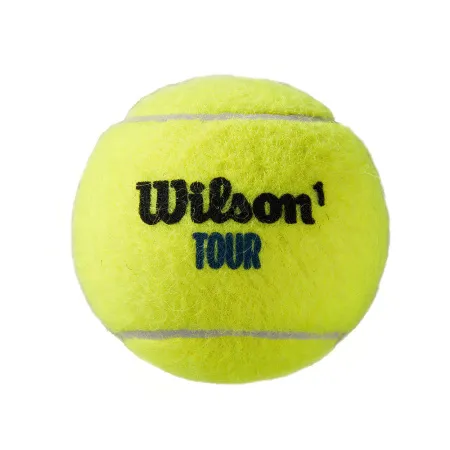 Мяч теннисный WILSON Tour Premier All Court, WRT119400, одобр.ITF, фетр, нат.резина,. уп.4 шт за 1&nbsp;676.20 ₽ купить в Ставрополе